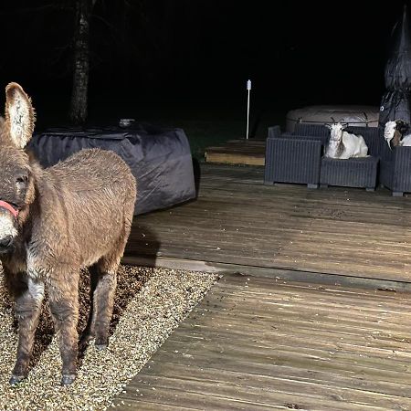 Les Gites De Claire Saint-Gâtien-des-Bois Dış mekan fotoğraf