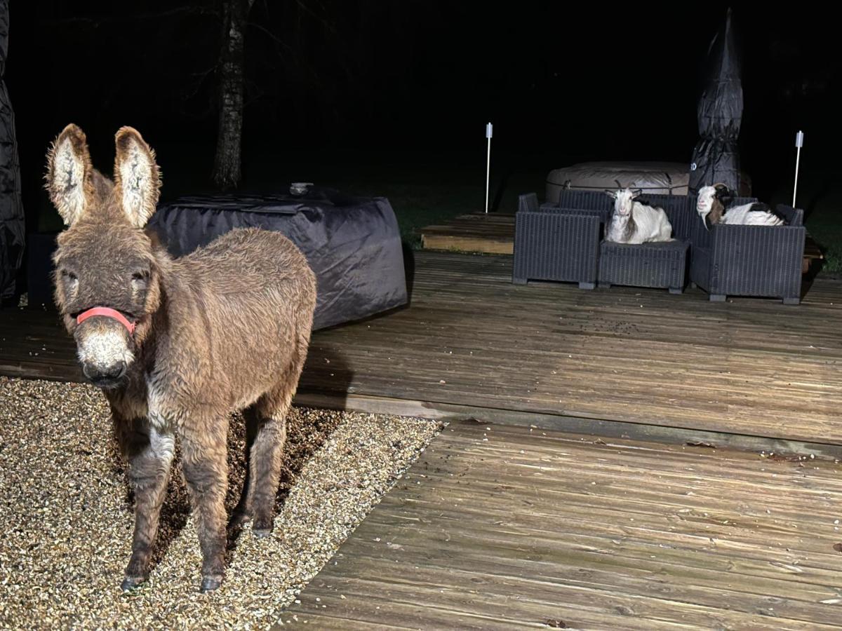 Les Gites De Claire Saint-Gâtien-des-Bois Dış mekan fotoğraf